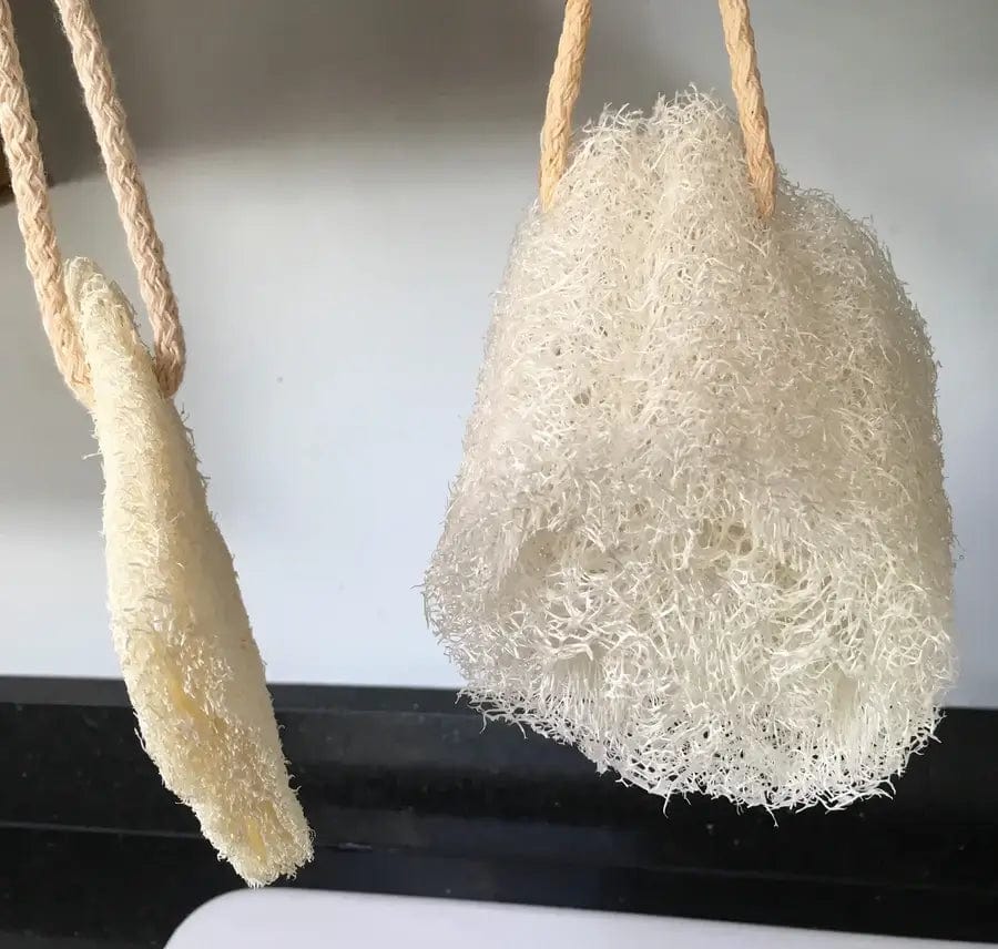 Washing Up Loofah Sponge - Plastic Free Amsterdam